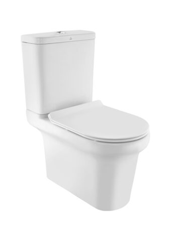 Bowl With Cistern For Coupled WC