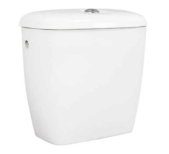Dual Flush Cistern With Lid